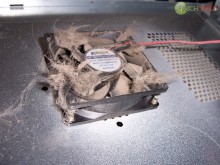 Side case fan clogged up with dust and hair Side case fan clogged up with dust and hair