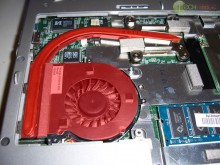 Dirty Computers: Pet Hair Dirty Computers: Pet Hair