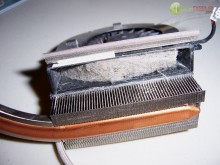 Dirty Computers - Pet Hair Dirty Computers - Pet Hair