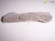 Dirty Computers - Pet Hair Dirty Computers - Pet Hair