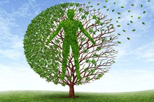 grow-or-die