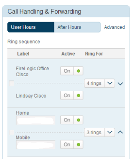 voip-function-01