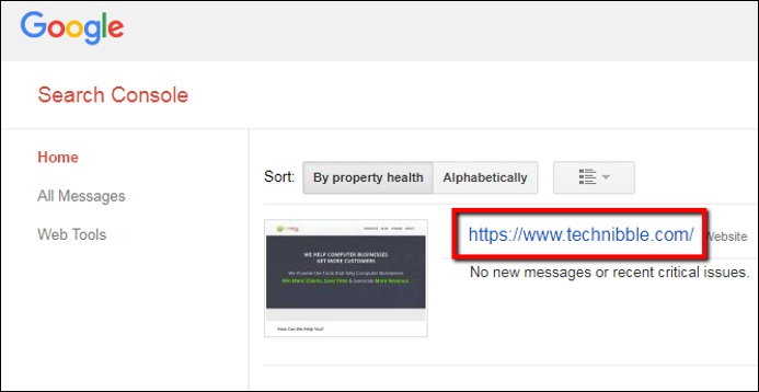 Google Webmaster Tools Property View