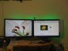 MyDesk.jpg