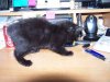 100_1305.jpg