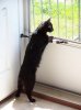 100_2533.jpg