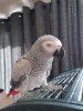 IMG-20180929-WA0001.jpg