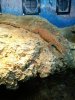 IMG_20190414_103611-2.jpg