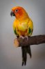 upload_2019-5-8_15-0-54.jpeg