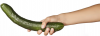 upload_2019-5-29_1-28-37.png