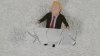 TrumpArt.jpg