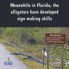 GatorSign.jpg
