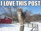post.jpg