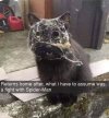 FB_IMG_1697711331429.jpg