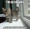 FB_IMG_1643730122400.jpg