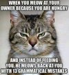 cat.jpg