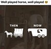 horse.jpg