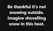 snow.jpg