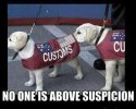 customs.jpg