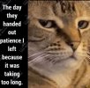 patience.jpg