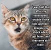lolcat.jpg