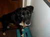 SAM_0615.jpg