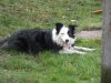 SAM_0629.jpg