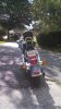 flhs9 (Small).jpg