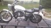 Sportster2 (Small).jpg