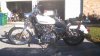 sportster5 (Small).jpg