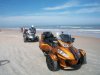spyder on beach with bills.jpg