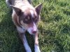 20150604_151016_small.jpg