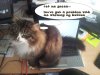 emmapuss.jpg