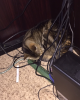 upload_2015-6-11_18-55-23.png