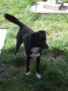 DSCF2875.jpg