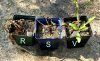 Homemade-Weed-Killer-Roundup-vs-Vinegar-vs-Salt-2.jpg
