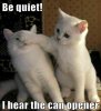 9ad2963f2992fb28cb1e6742d729483b--kitten-photos-photos-of.jpg