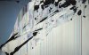 Cracked-Screen-Desktop-Wallpaper.jpg