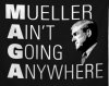muller.jpg