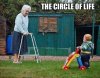 the-circle-of-life.jpeg