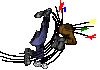 kick-butt-ass-swift-kicking.gif