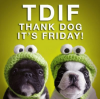 tdif-thank-dog-its-friday.png