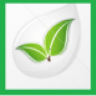 nuleaf1
