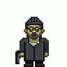 TheProfessional
