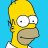The_Homer_Simpson
