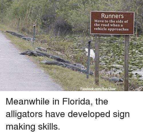 14678_random%20photo%20gator%20skills.jpg.jpg