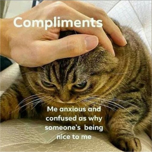 18840_caturdaycompliments%20majorgeeks.jpg