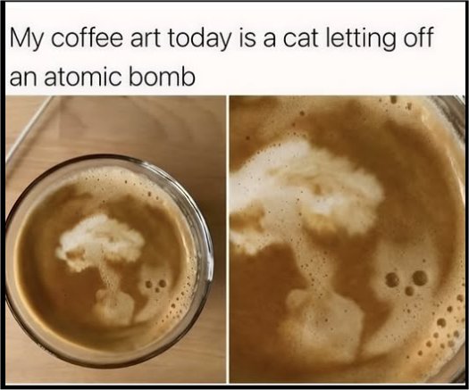20251_caturday%20the%20bomb.jpg