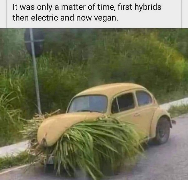 19429_vegan-car.jpg