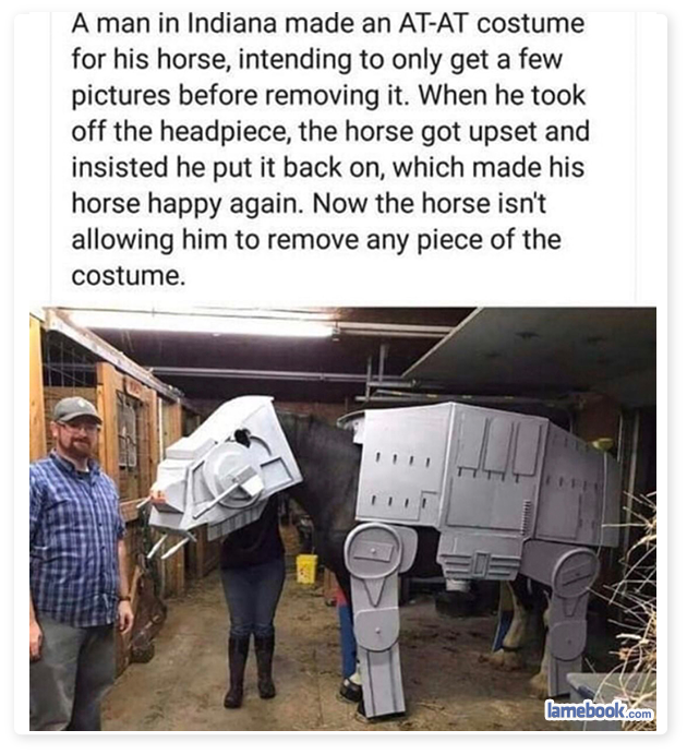 Dressage-Up.png